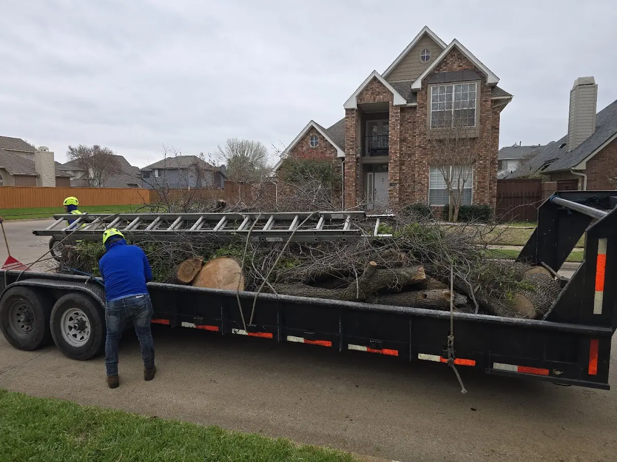 Expert Tree Pest Control with proper safety equipment in Picayune